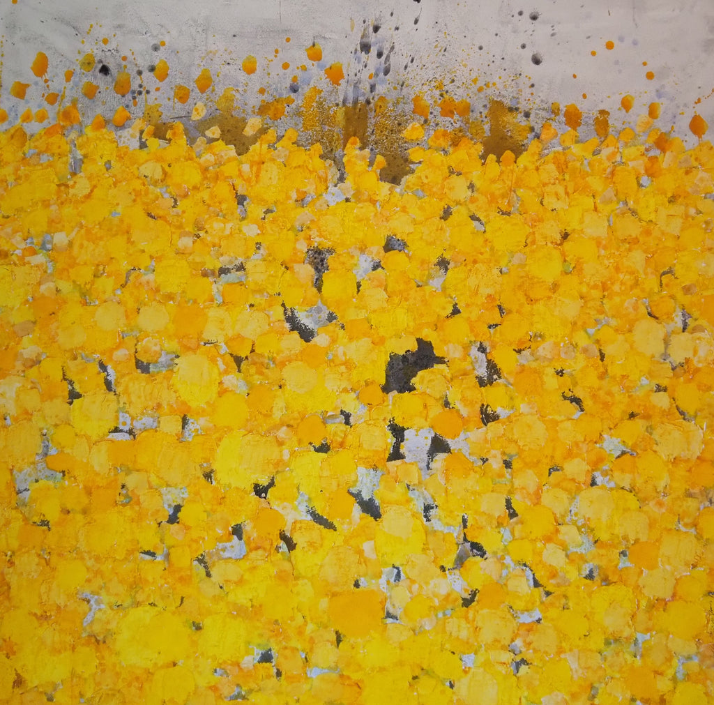 FIELD OF MARIGOLDS
