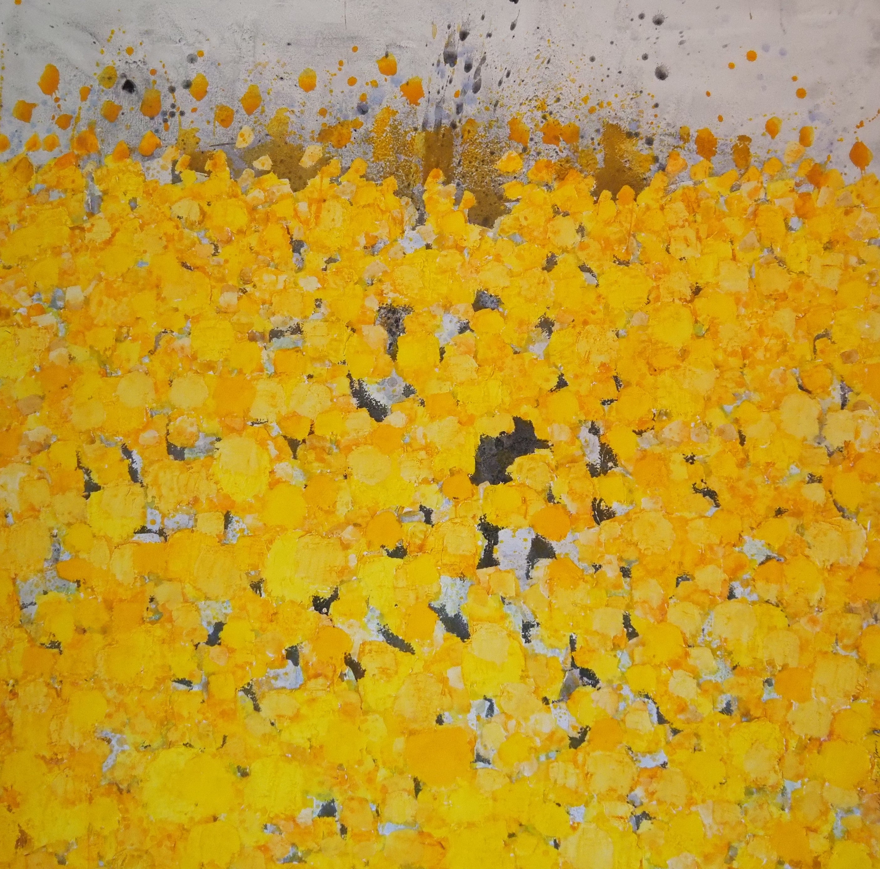 FIELD OF MARIGOLDS
