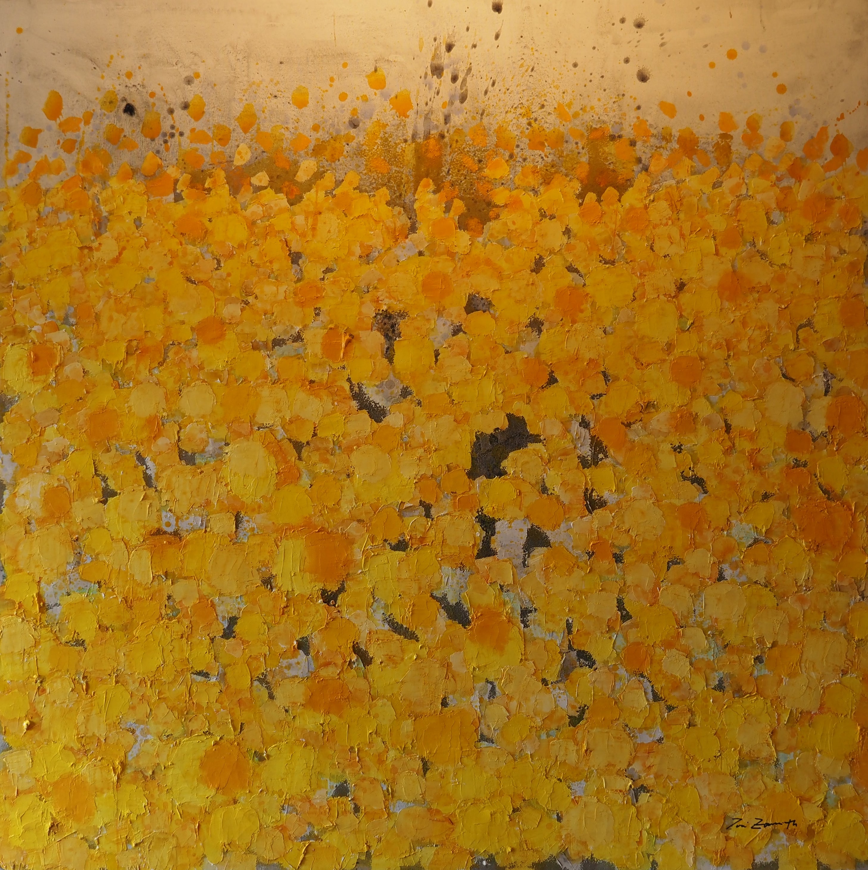 FIELD OF MARIGOLDS